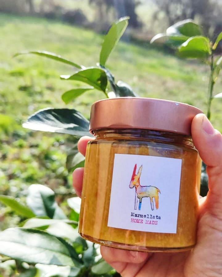 Contrada Del Raglio Potenza Picena